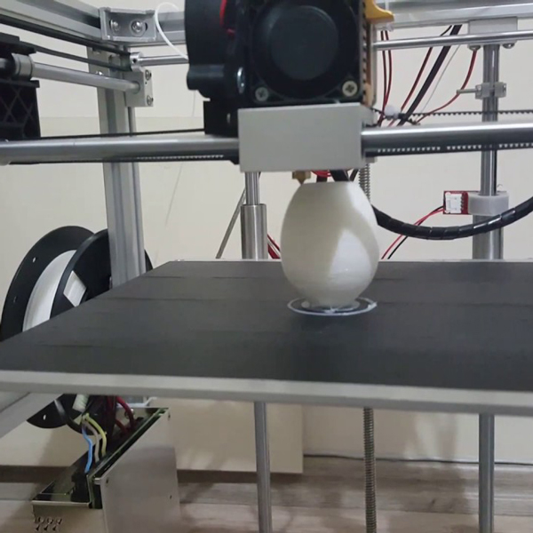 FlyingBear 3D Printer P902 #2